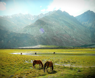 Nubra Valley Sightseeing Photo Nubra Valley Sightseeing